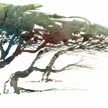 Gesang der Bäume im Wind