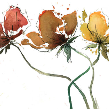 Harmonie aus Mohnblumen